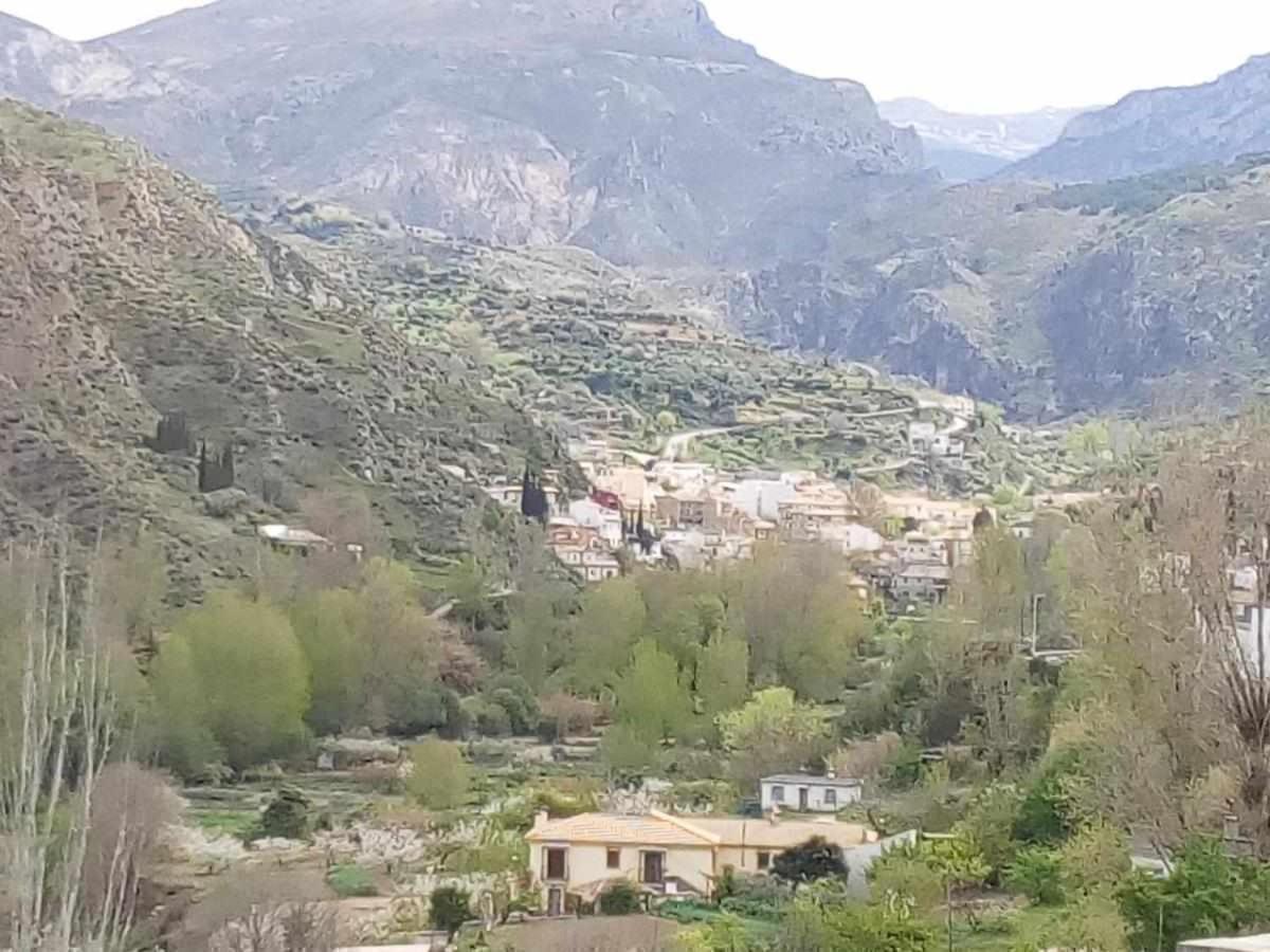 Casa Rural Las Huertas De Roque モナチル エクステリア 写真