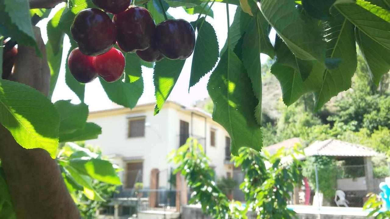 Casa Rural Las Huertas De Roque モナチル エクステリア 写真