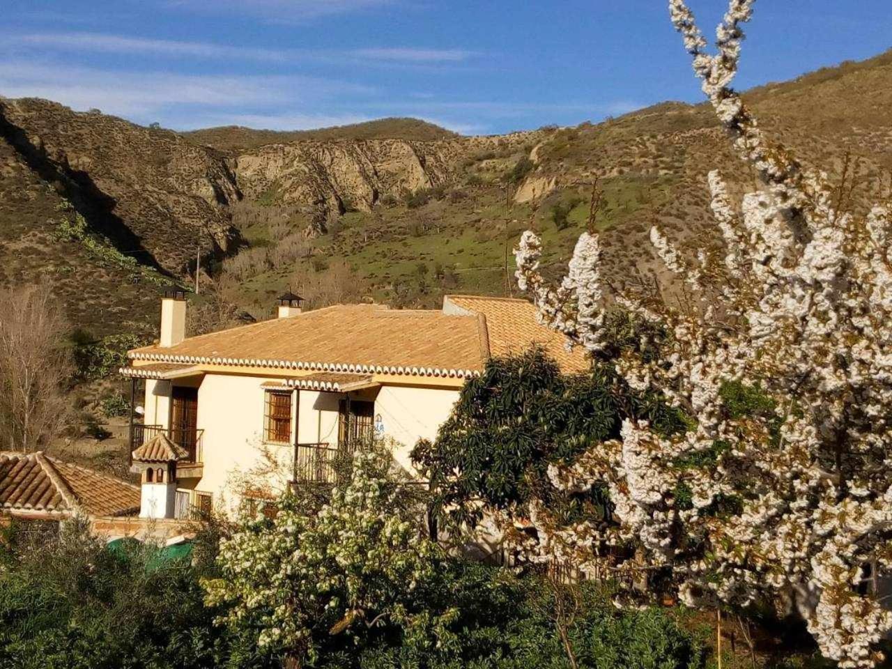 Casa Rural Las Huertas De Roque モナチル 部屋 写真