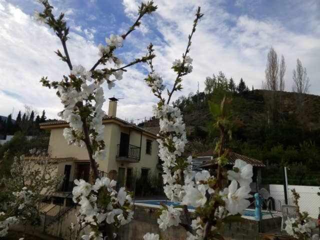 Casa Rural Las Huertas De Roque モナチル 部屋 写真