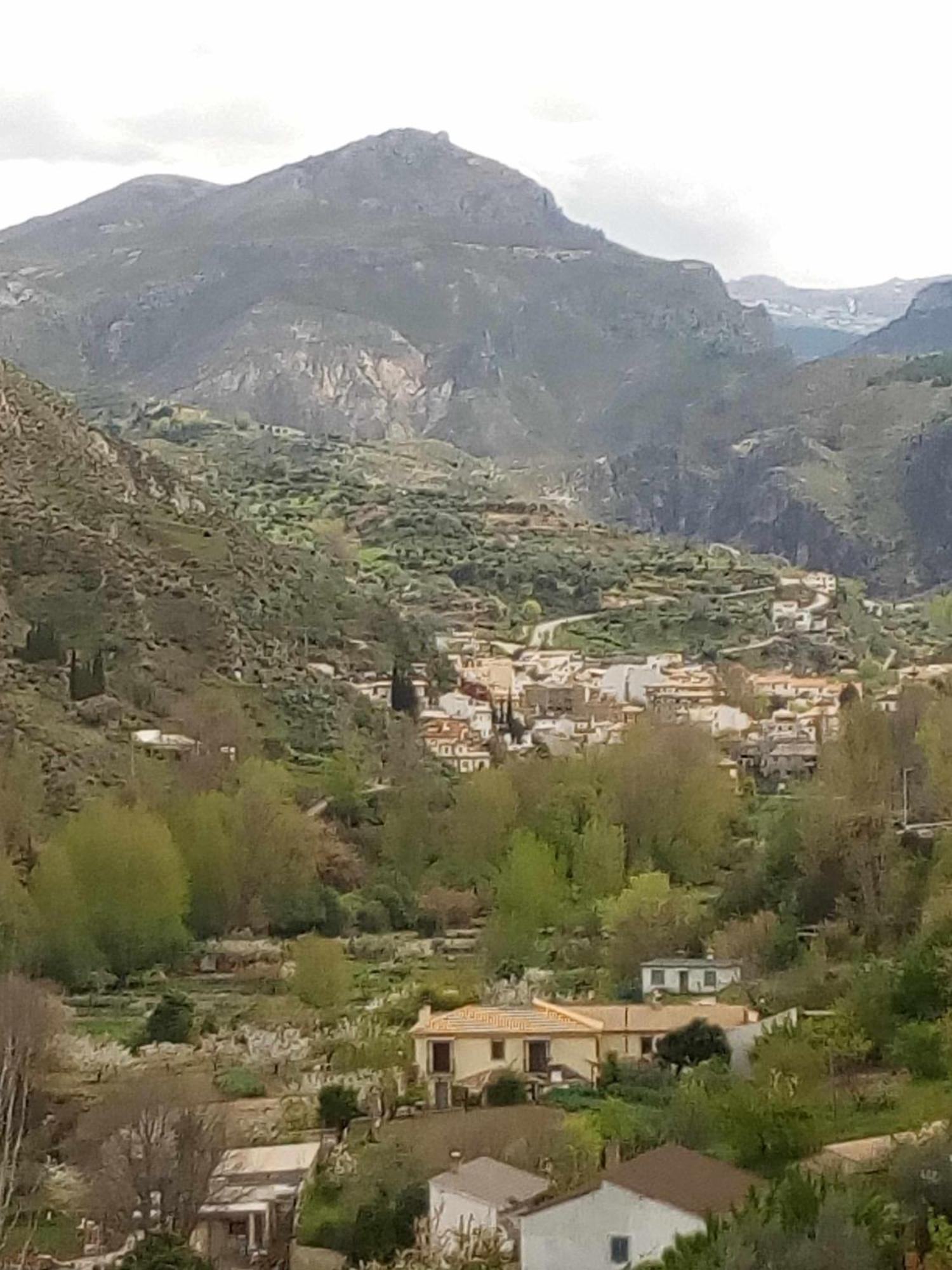 Casa Rural Las Huertas De Roque モナチル 部屋 写真