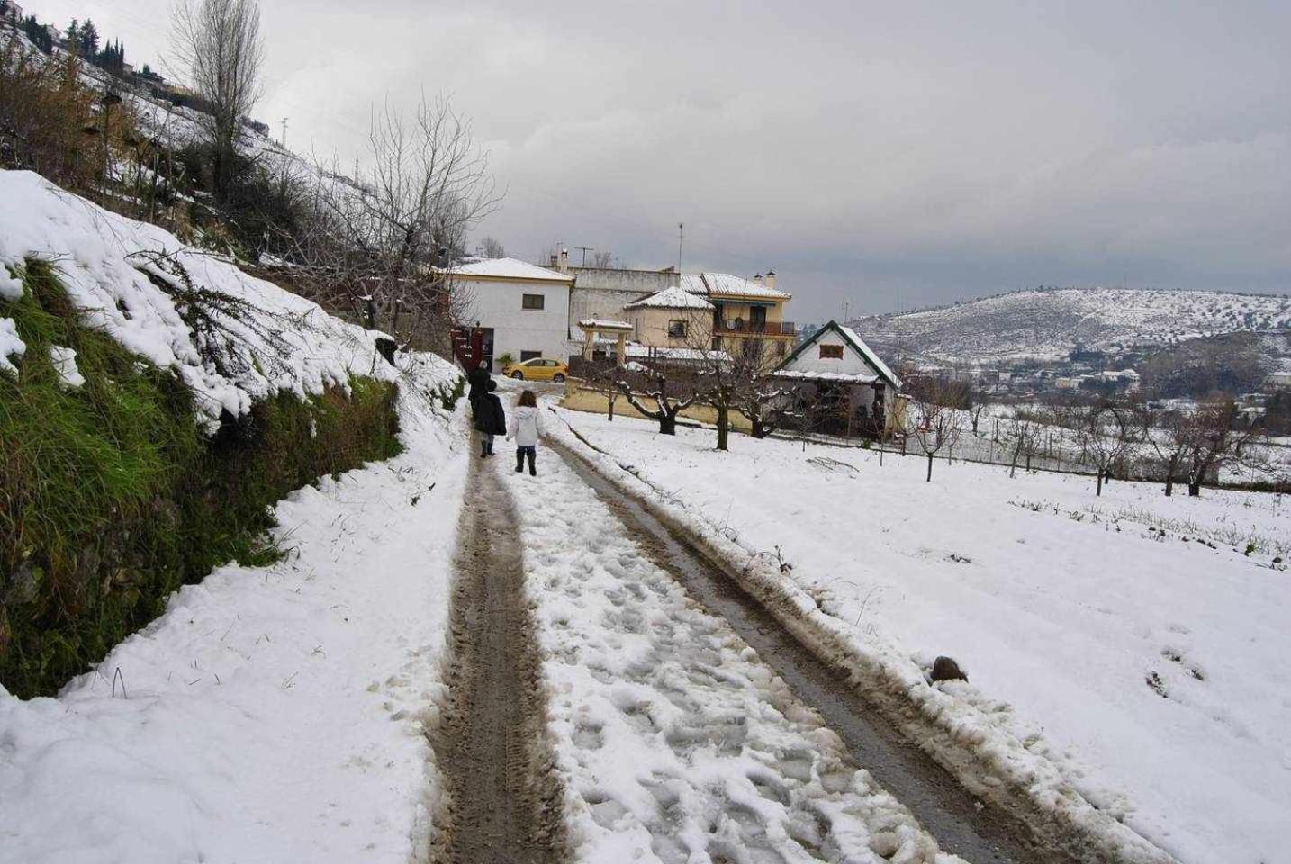 Casa Rural Las Huertas De Roque モナチル 部屋 写真