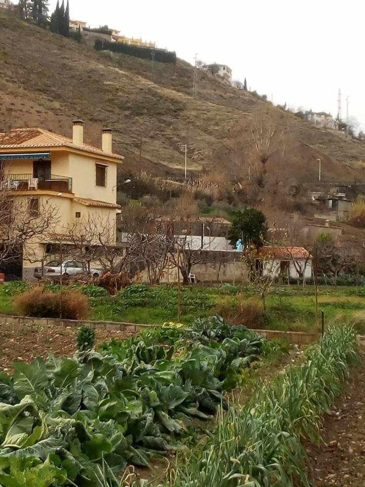 Casa Rural Las Huertas De Roque モナチル 部屋 写真